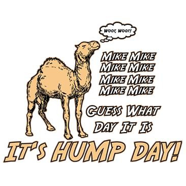 camel hump day